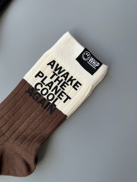 Planet Earth - Socks